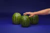 watermelons