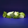 Hillfresh_producten_76_2025