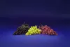 Hillfresh_91_2025