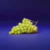 Hillfresh_88_2025