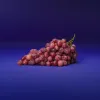 Hillfresh_89_2025