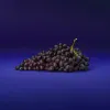 Hillfresh_90_2025