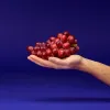 red-grapes-hand