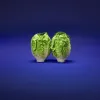 Littlegemlettuce