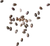 chia-seed
