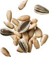 sunflower-seed